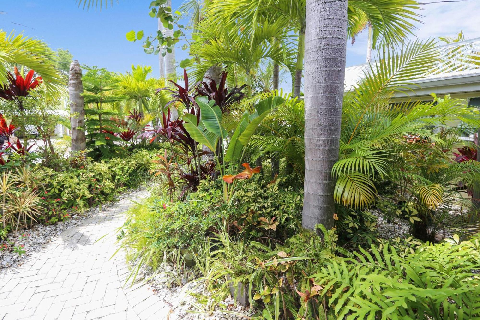 Coconut Paradise St. Pete Beach Eksteriør billede